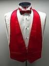 Vintage Tuxedo - Vest